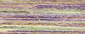 MADEIRA Lana No. 12 Ullgarn for broderi / Wool embroideyr thread 200M Jungle